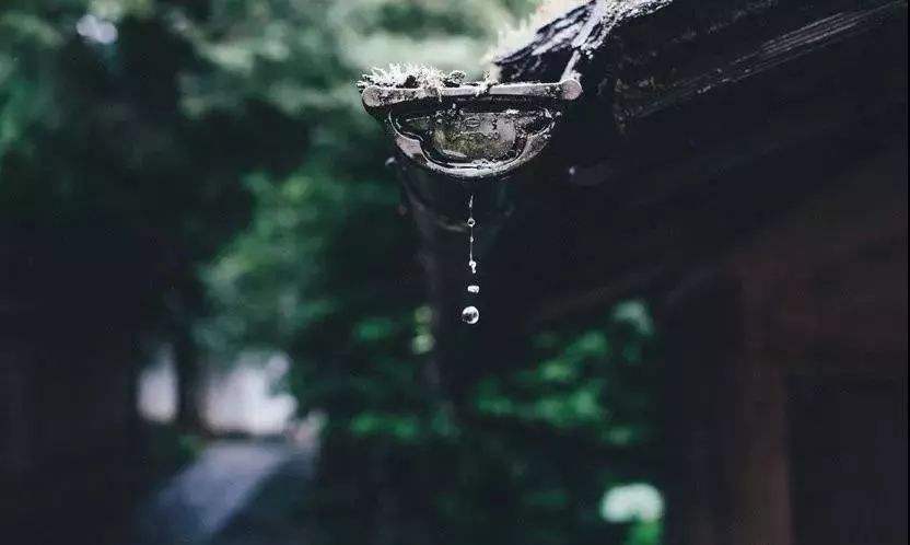 偶遇世外高人传授武功秘籍,龙虎山偶遇道士