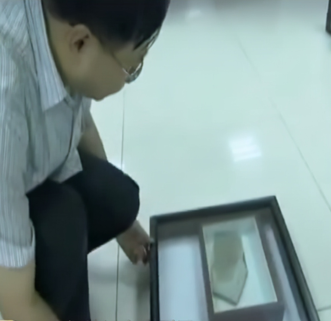 稻田惊现不明生物行动诡异,大山深处不明生物真相大揭秘