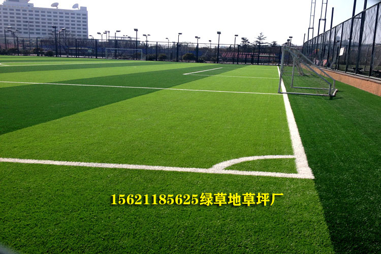 足球场人工草坪多少钱一平方,人工足球场草坪多少钱