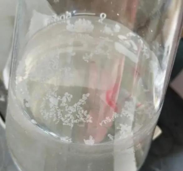 净水器过滤后，水中有白色漂浮物