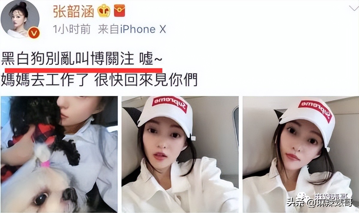 张韶涵范玮琪陈建州,张韶涵回应范玮琪和陈建州