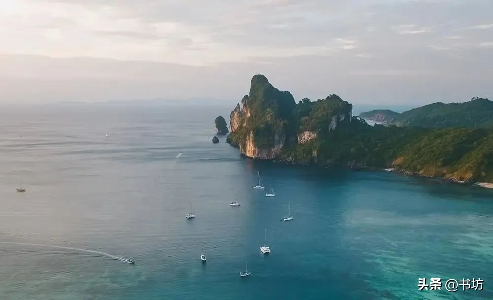 基于学习任务群理解大单元教学,学习任务群的大单元教学