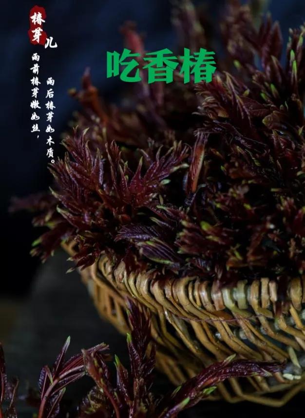 立春虎年的第一个节气,怎样用春分节气习俗招来好运