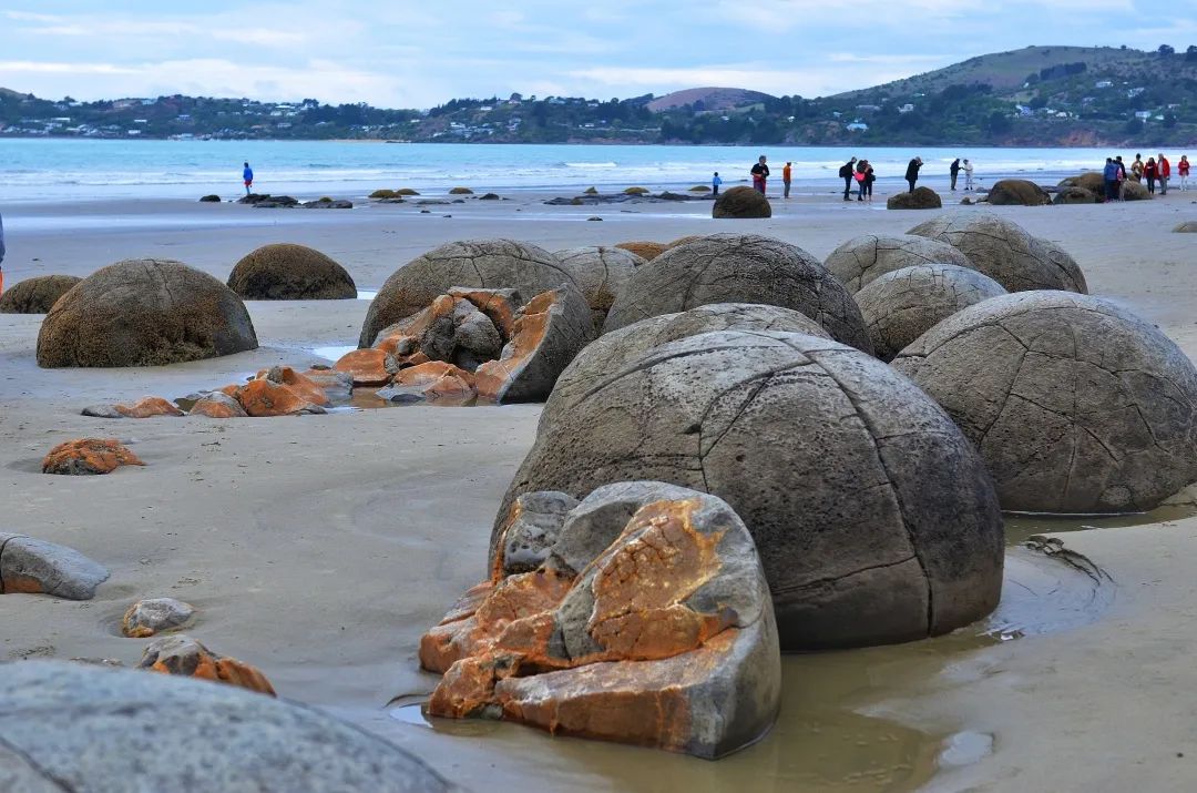 写给不被疫情束缚的心:用文字“云”游新西兰全境