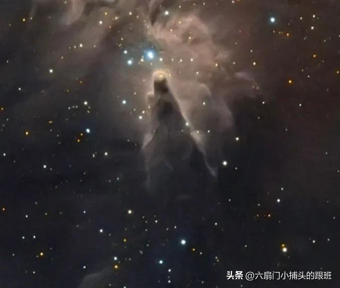 懂懂日记公众号,懂懂日记全集解说