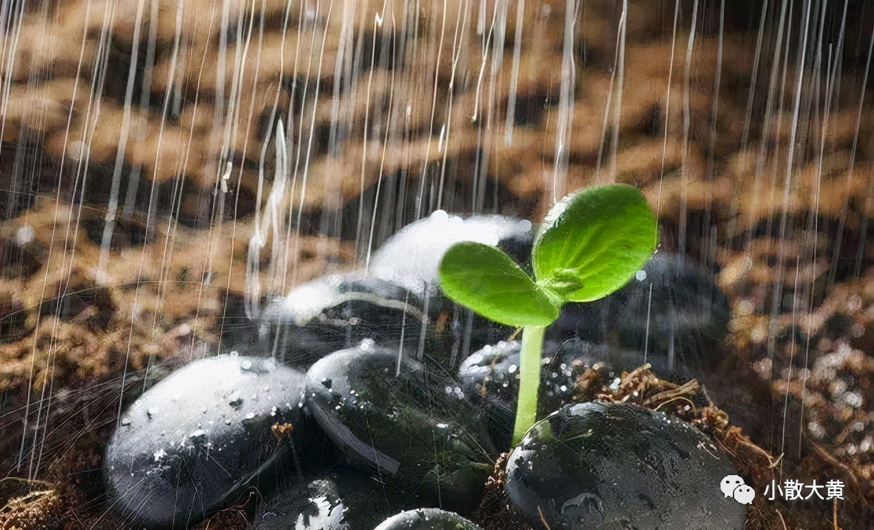 中长线股选股软件,中长线投资如何选股