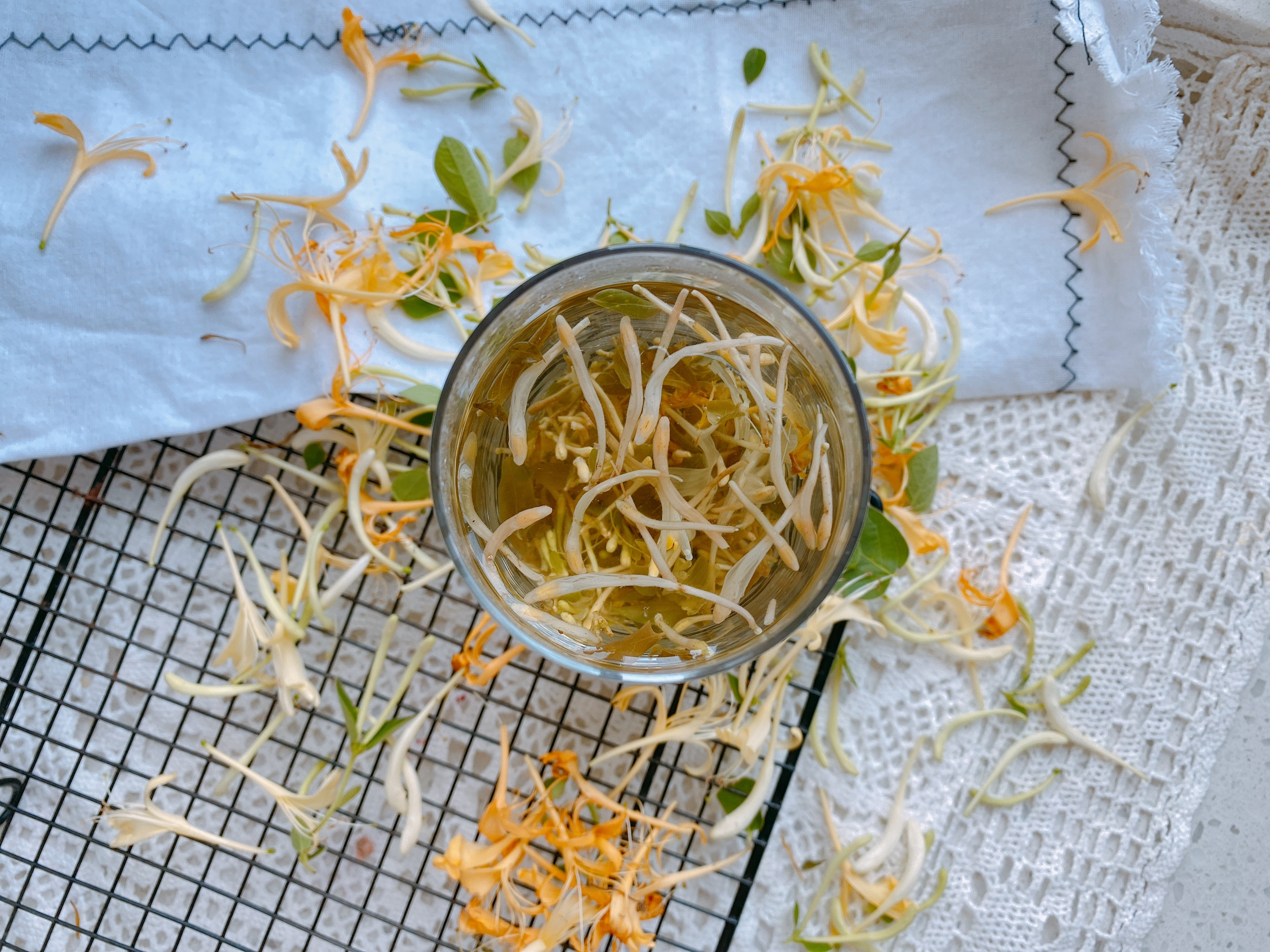 自制金银花茶,金银花茶最好的制作方法