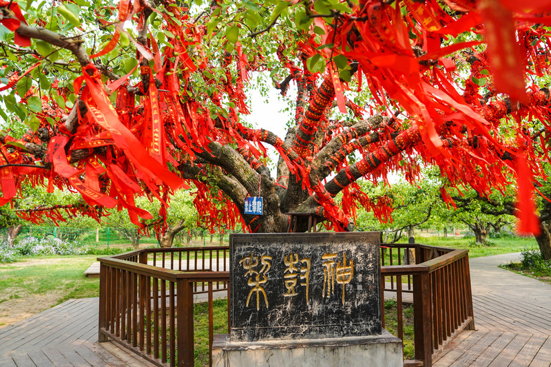 宿州两日游,宿州旅游攻略三日游