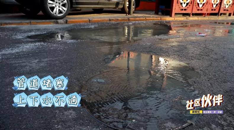 老旧小区迎来物业入驻,老旧小区迎来新管家