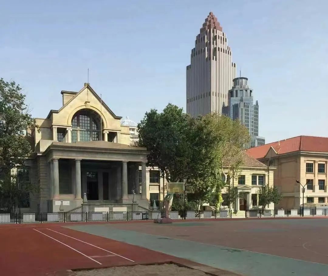 金蔷薇故事摘抄,金蔷薇故事