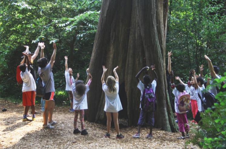 sbc国际夏令营行程安排,ubc2024夏令营申请