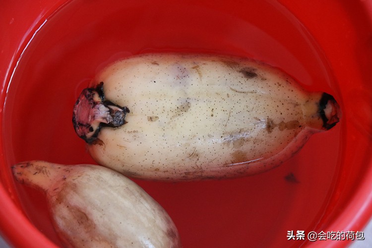 蔬菜储存方法大全，带你学会13种蔬菜的贮存技巧，一个月不用出门