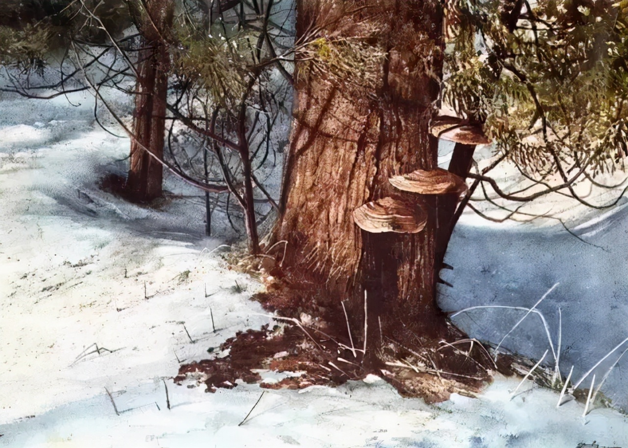 世界顶级水彩画家作品欣赏,世界水彩画大师三巨头的作品欣赏