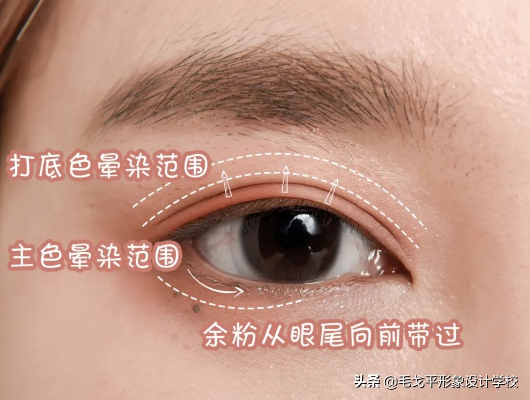 性价比超高的眼影新手必备,服帖眼影推荐