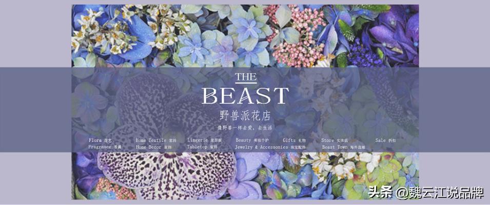 花卉界的爱马仕,花界爱马仕洛神