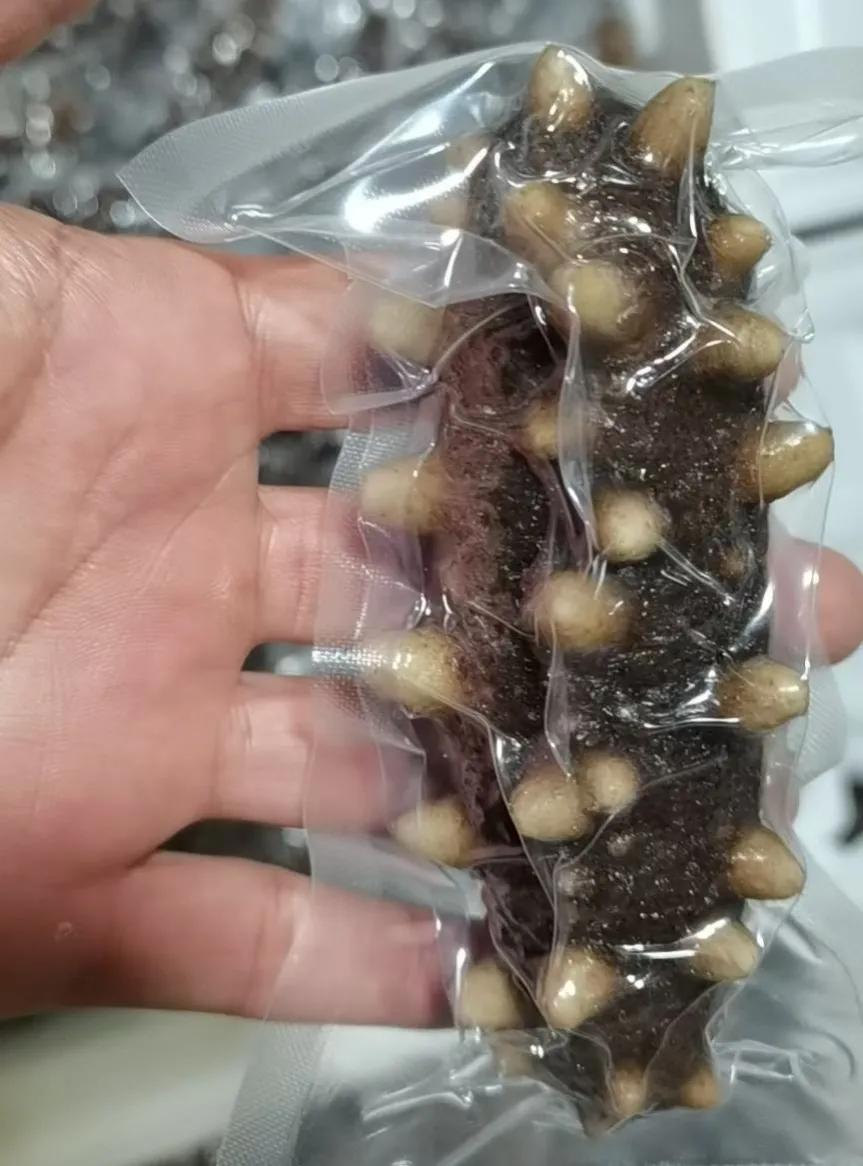 有没有人被海参骗了 (便宜海参骗局)