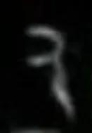 大盂鼎铭文的史料价值,大盂鼎铭文长卷全集