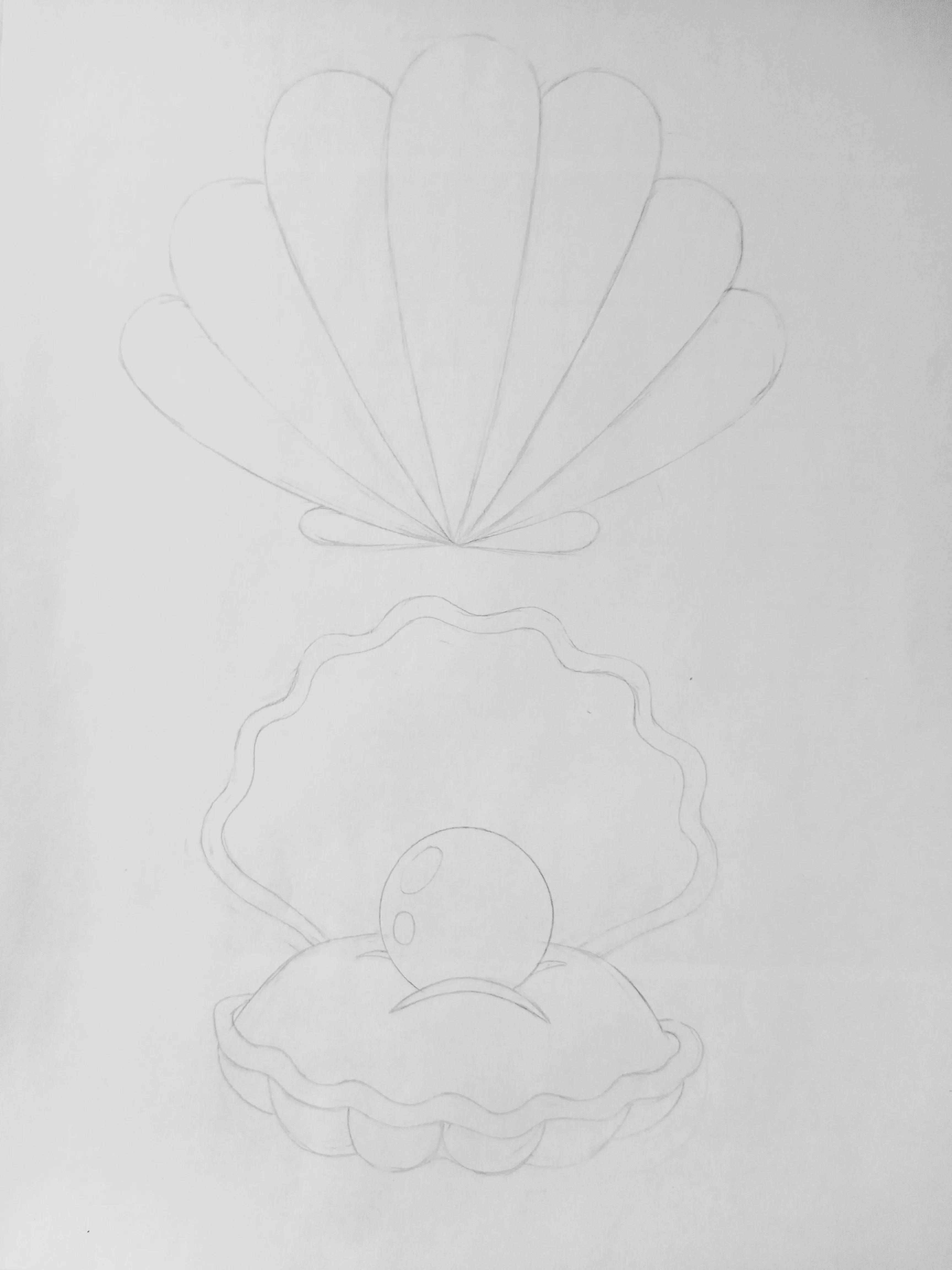 在扇贝上怎么画简单又漂亮,儿童线描画扇贝