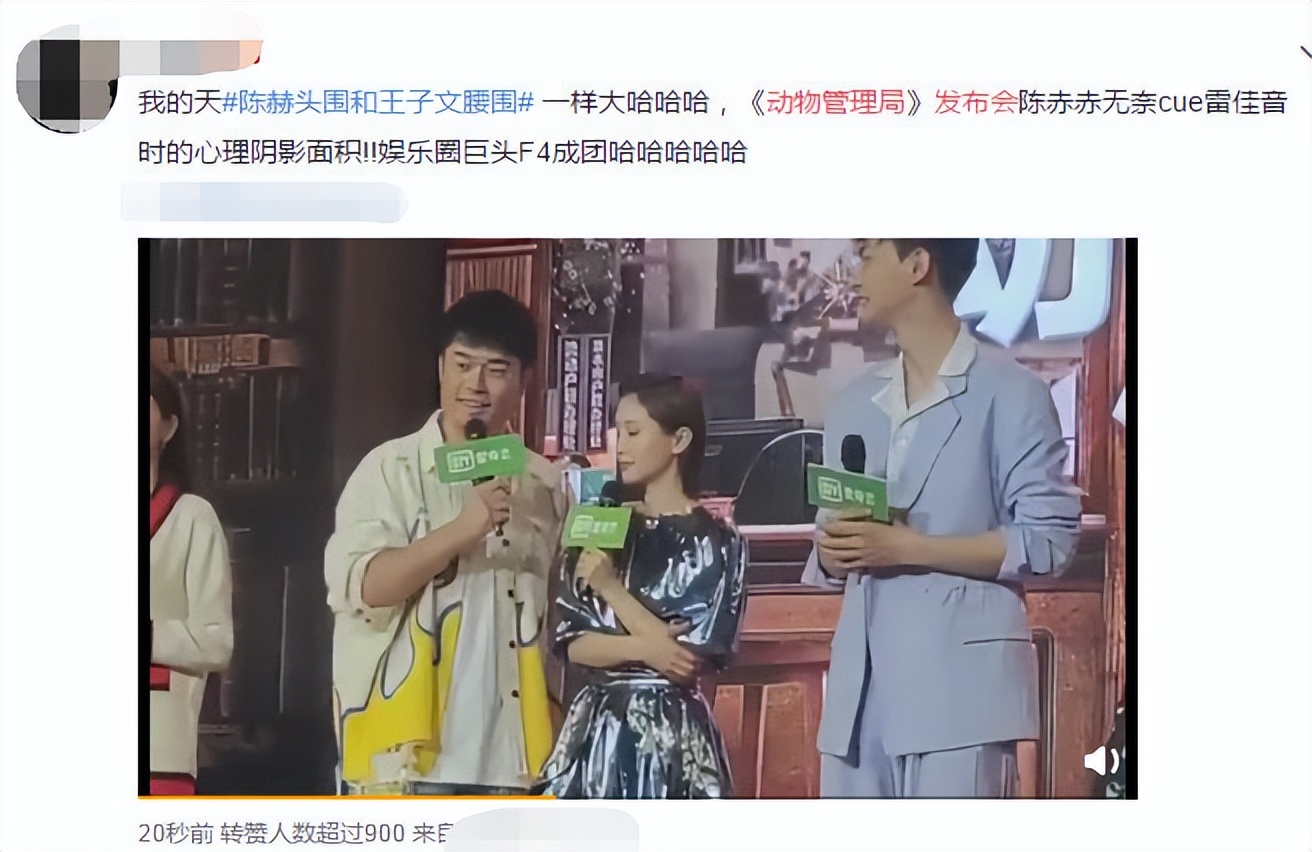 马思纯10天如何暴瘦20斤,马思纯20天瘦15斤怎么成功的