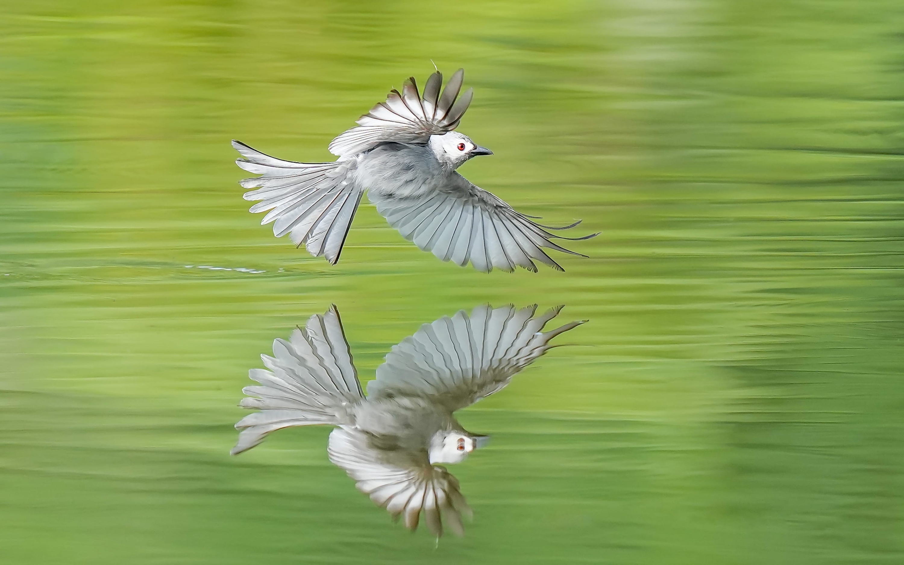 王者归来1-100级,索尼alpha1教程