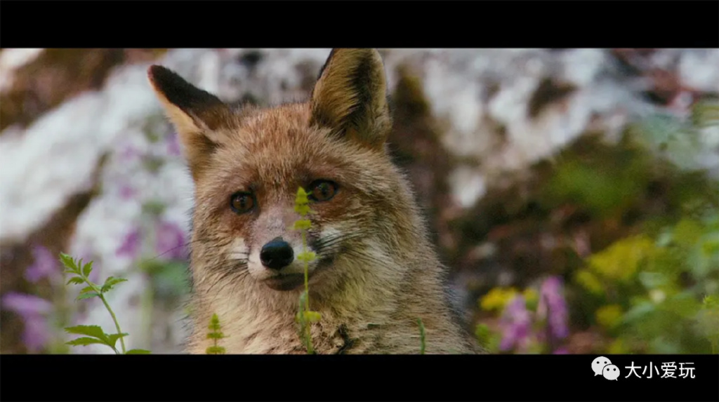 精心盘点五部冷门治愈电影,推荐几部让你笑喷的经典高分电影