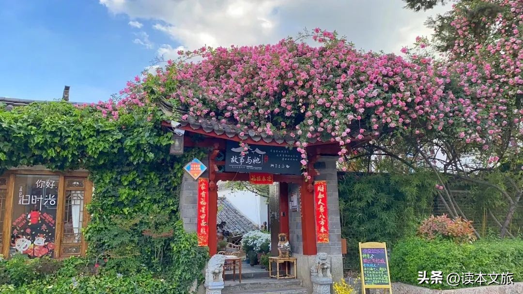 我被丽江治愈了,你呢?