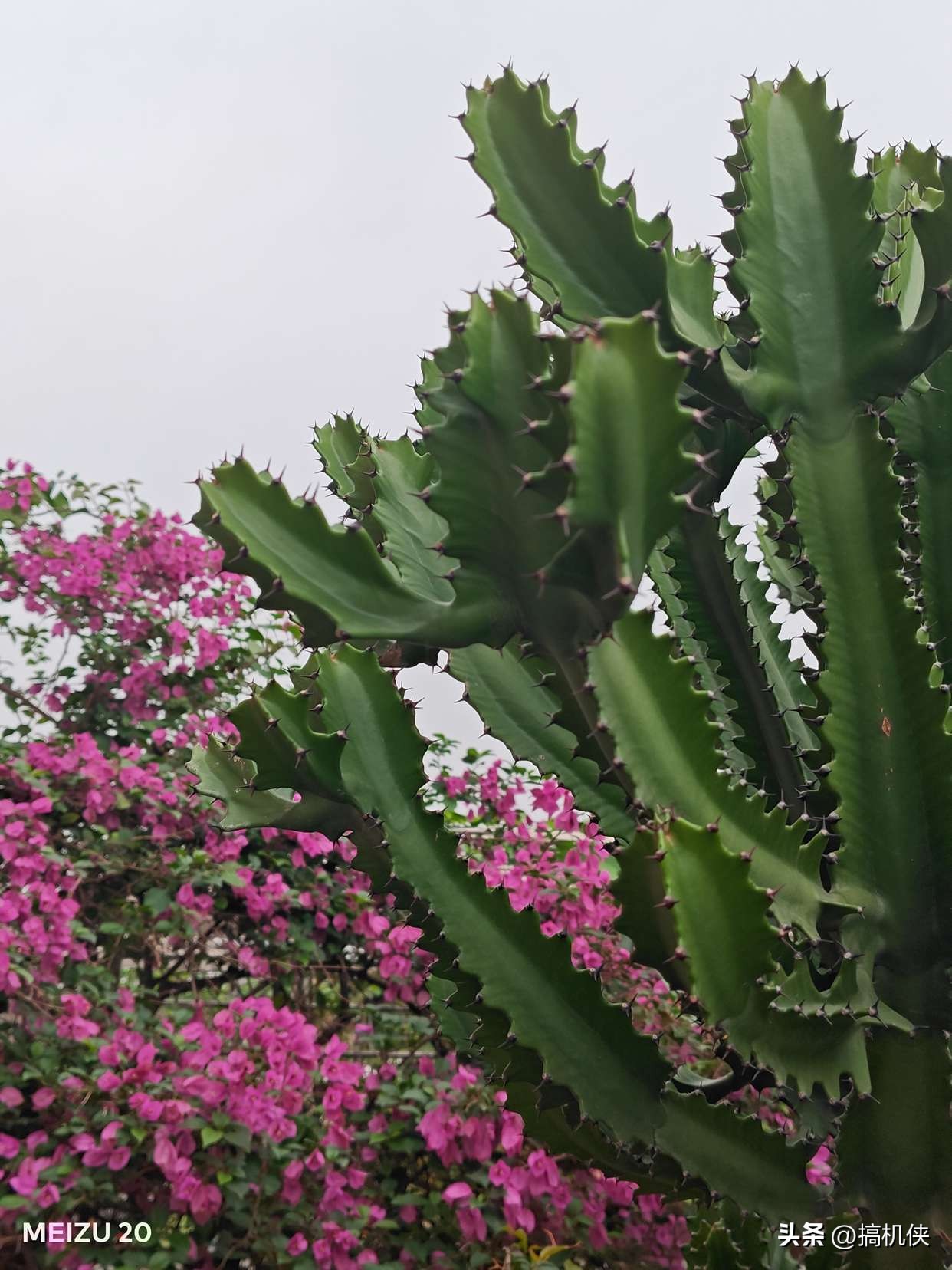 魅族20升级flyme10.5,魅族20flyme最新系统好不好