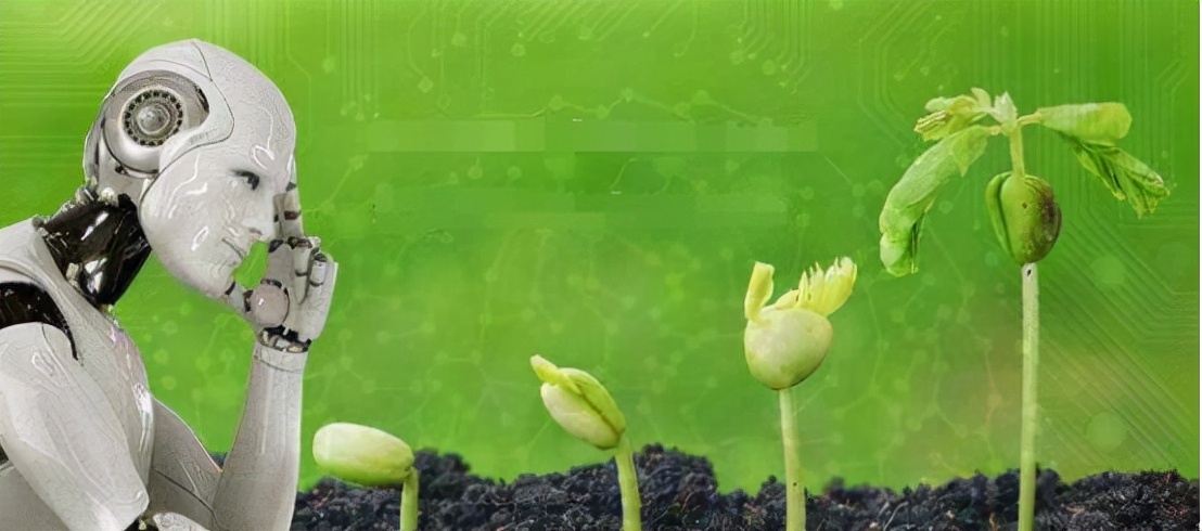 以后年轻人不种田怎么办,年轻人不会种地怎样办