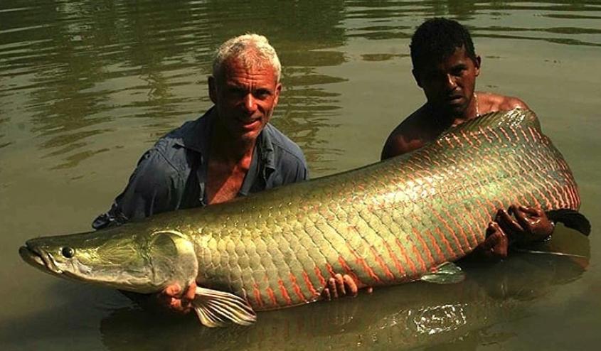 小到钻丁丁，大到吞活人，这片贝爷看了都怕