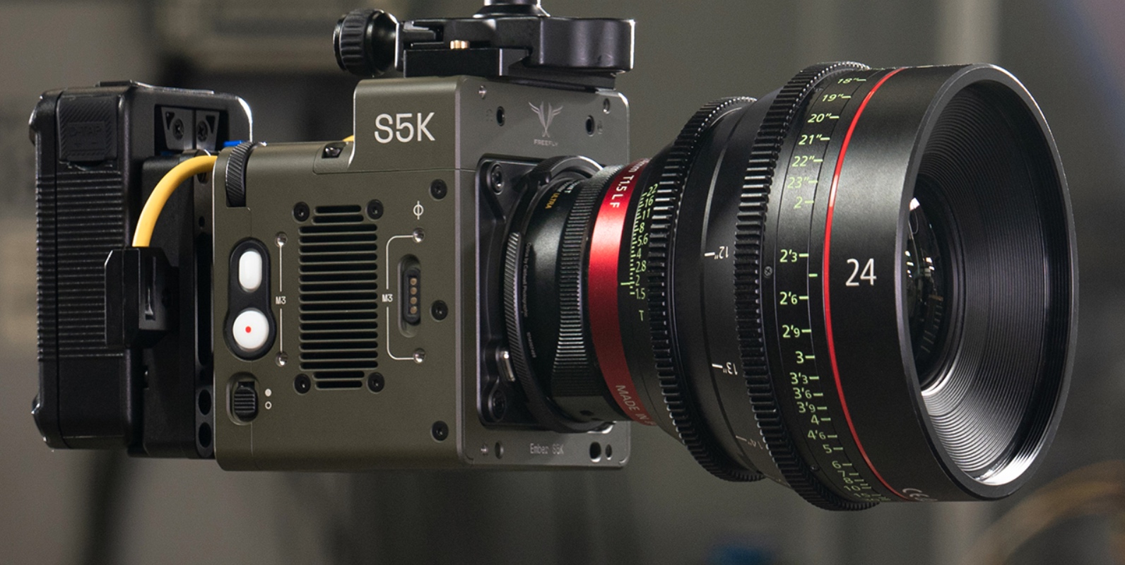 freeflyember中文叫什么,freeflyember中文翻译