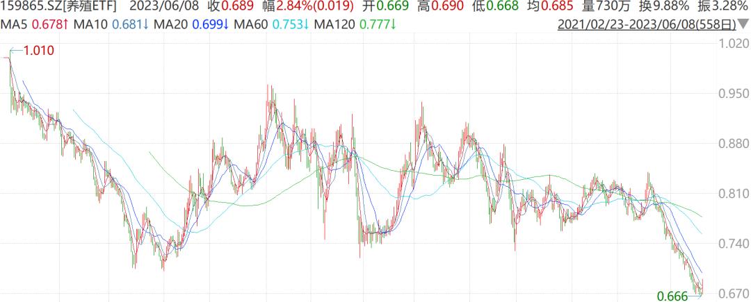 股市中的两个抄底机会,股市中真正的抄底