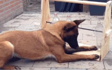 创意折叠花盆灯,洗洁精瓶做花盆小花瓶