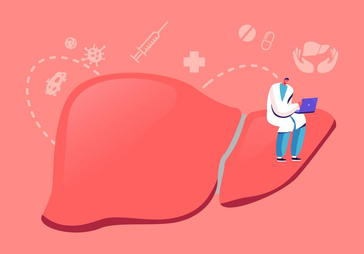 降低肝功能转氨酶的中草药,降低转氨酶的中草药有哪些