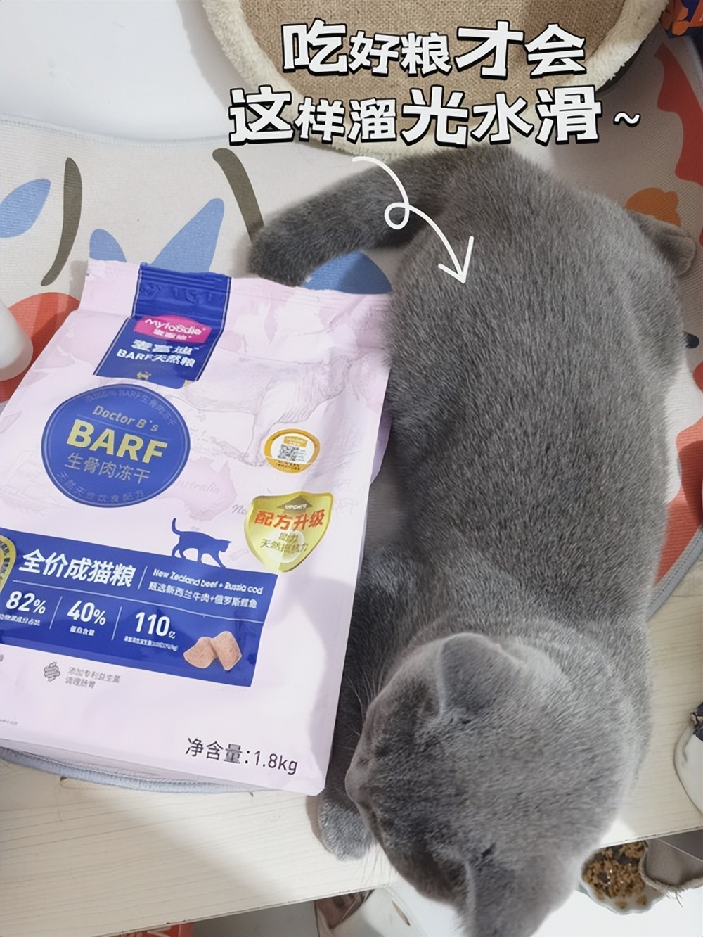 猫瘦怎么治,猫皮包骨