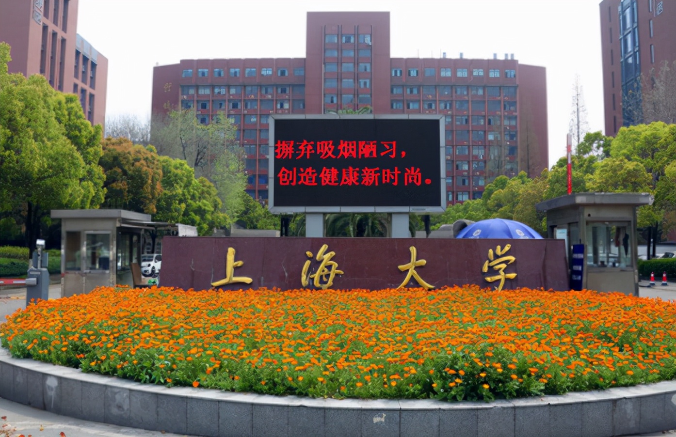 上海大学为啥被称为魔都良心大学,上海红色大学