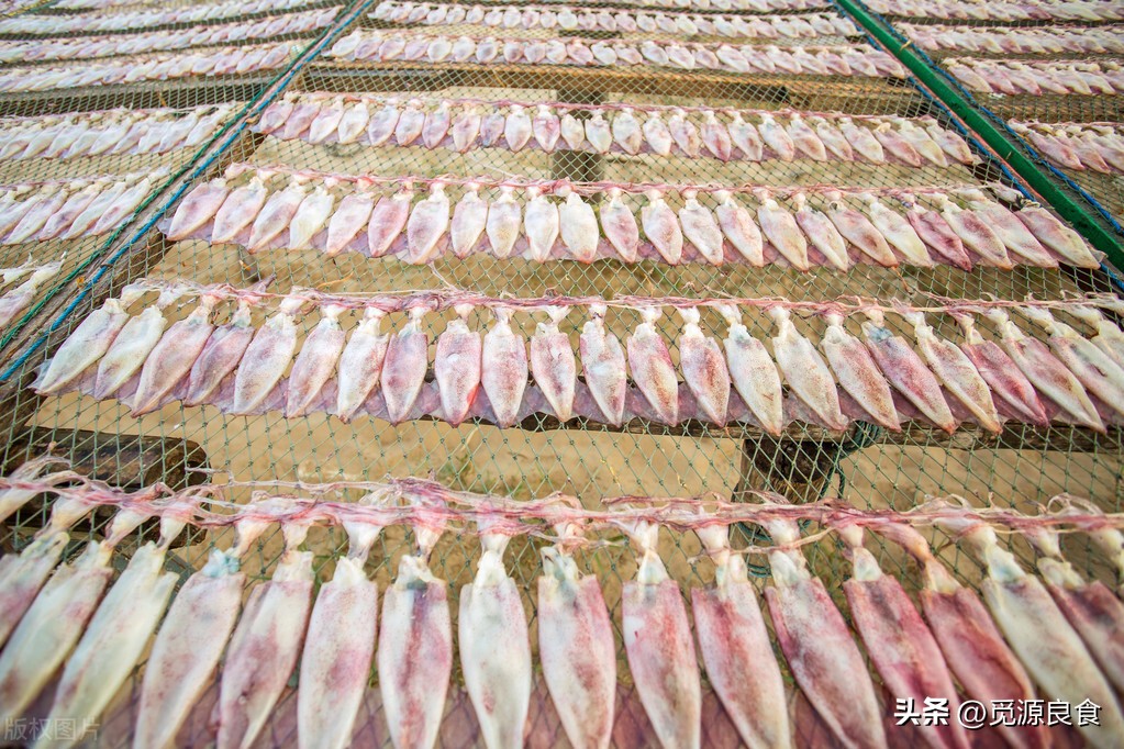 干鱿鱼用水泡了5天了还能吃吗,泡发干鱿鱼的小技巧进来看看