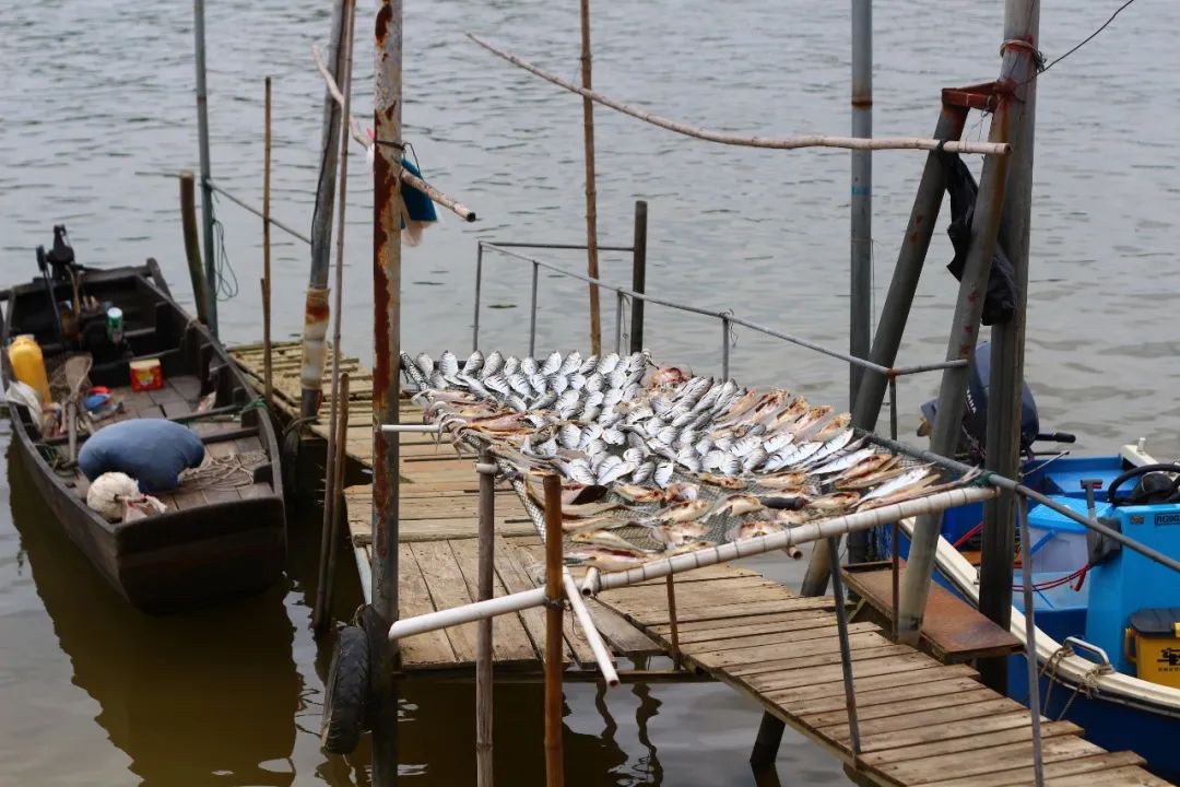 广州出发江门旅游攻略,江门石板沙环岛游