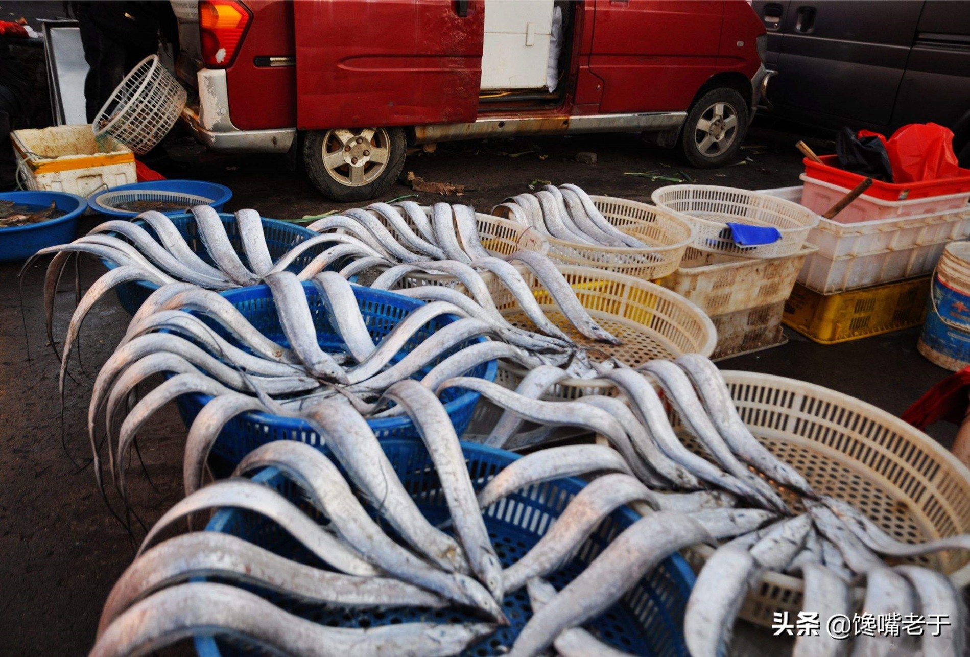 买带鱼注意这几个地方,买带鱼眼珠黑好还是白好