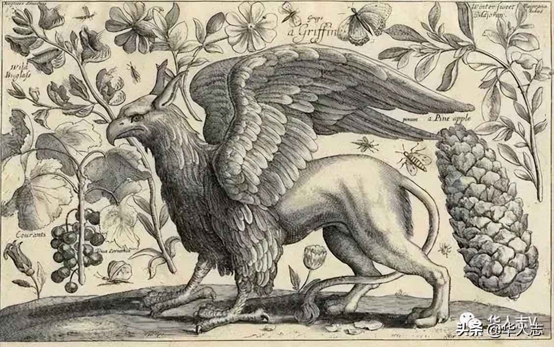 云南虫谷灵异故事,云南虫谷中的十大怪物