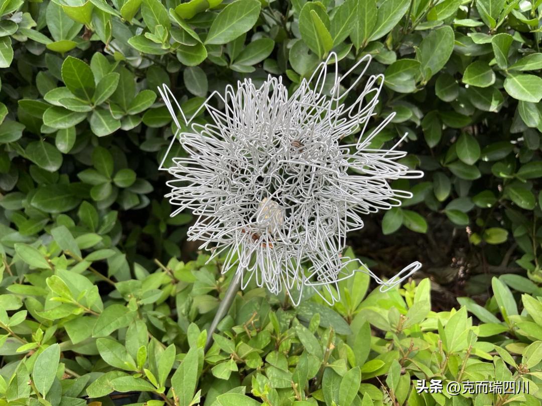 交房信息哪家强,交房质量哪家强