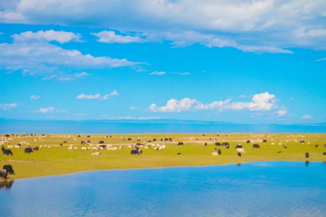青海：美成了最不像地球的地方