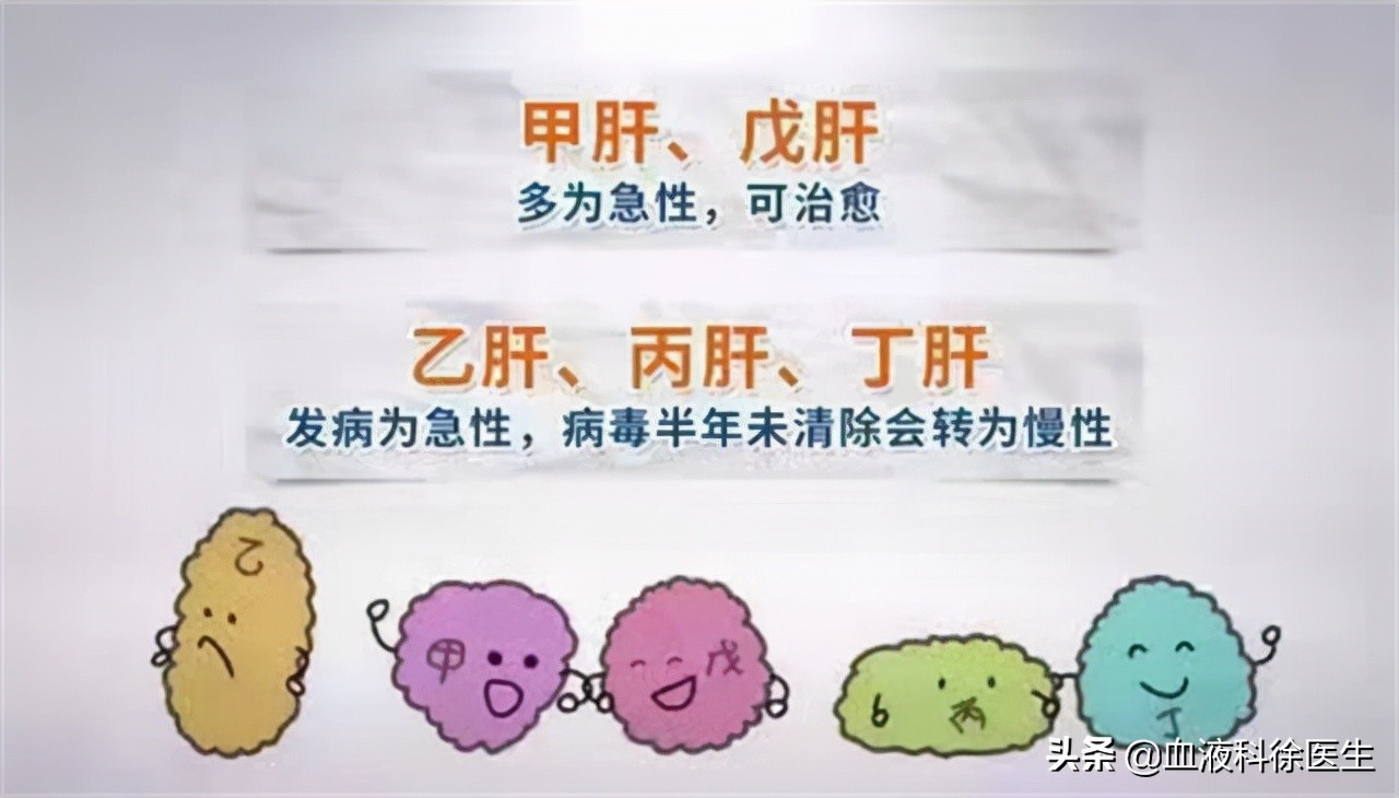 谷丙转氨酶53谷草转氨酶43严重吗,谷草转氨酶和谷丙转氨酶高会怎样