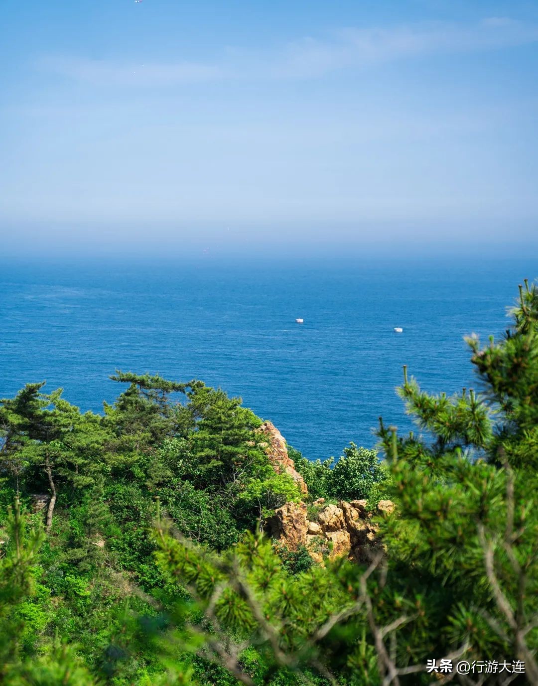 “浪”在大连丨一条最美观光路，串起25℃的夏天