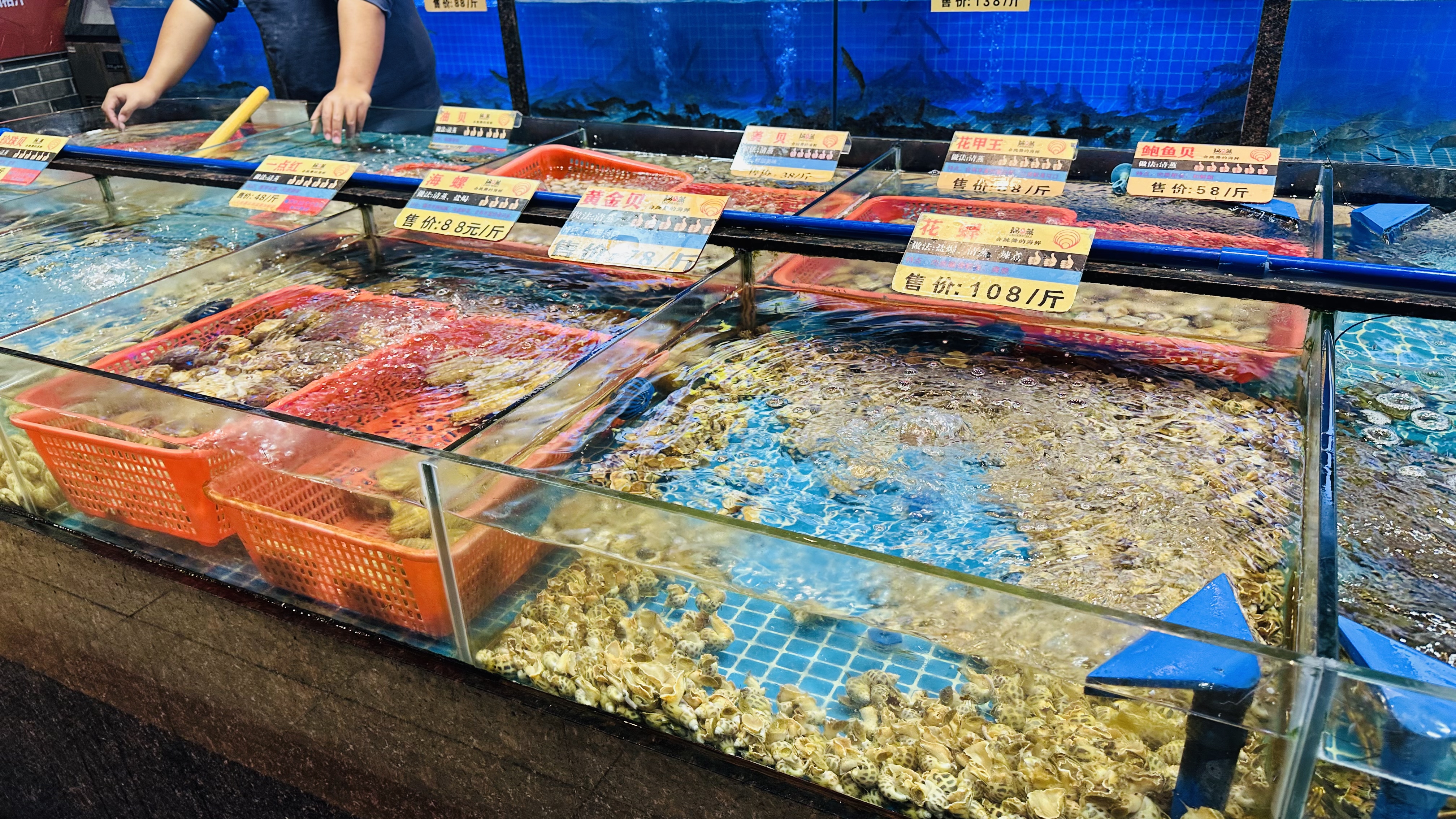 物美价廉海鲜店地址,南沙海鲜哪家好吃