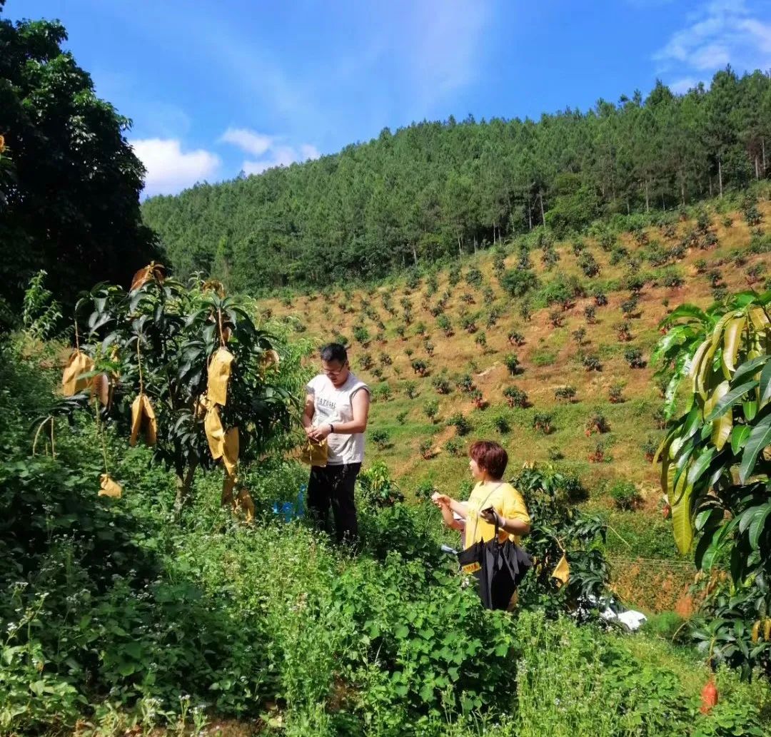 深山老林创业,从大山走出的创业之路