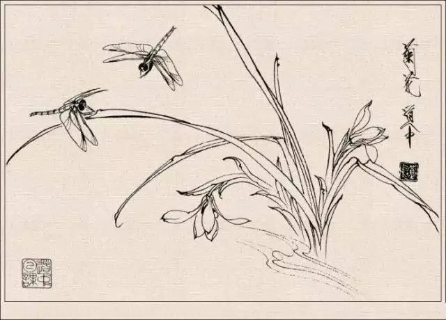 工笔草虫白描王道中,写意花鸟画草虫绘画过程分享