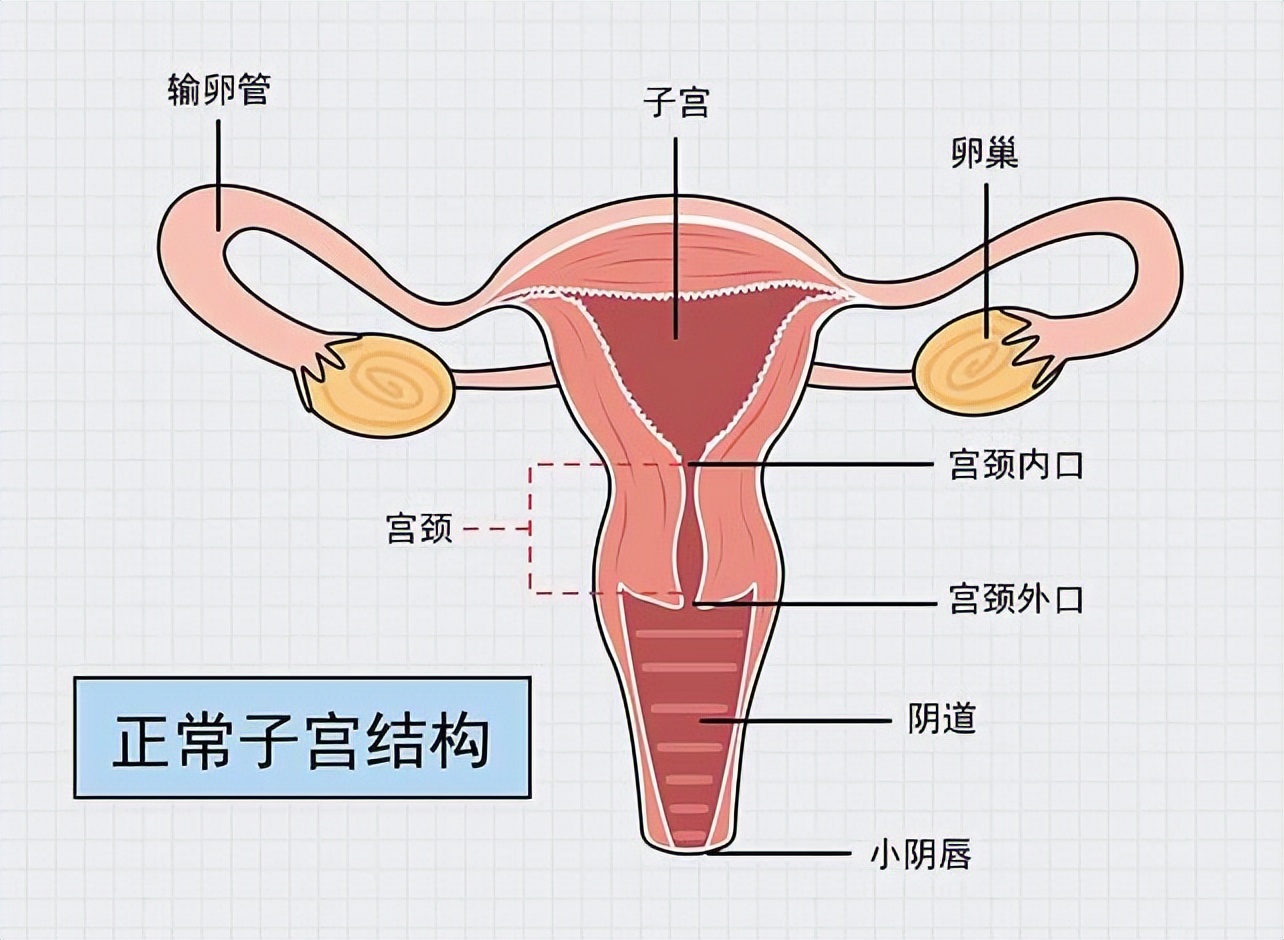 月经有发黑的血块，是因为身体在“排毒”？