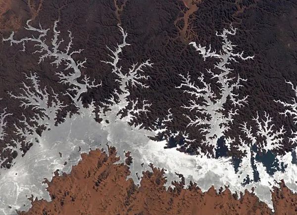 分形到底是什么,分形可以预测吗