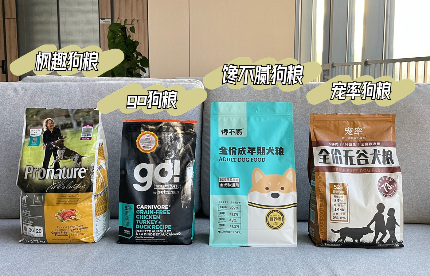 哪种狗聪明智商高,不要小看了狗狗的智商