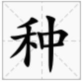 龙洋出题：种子种，种种种，4种读法，你能读出几种？